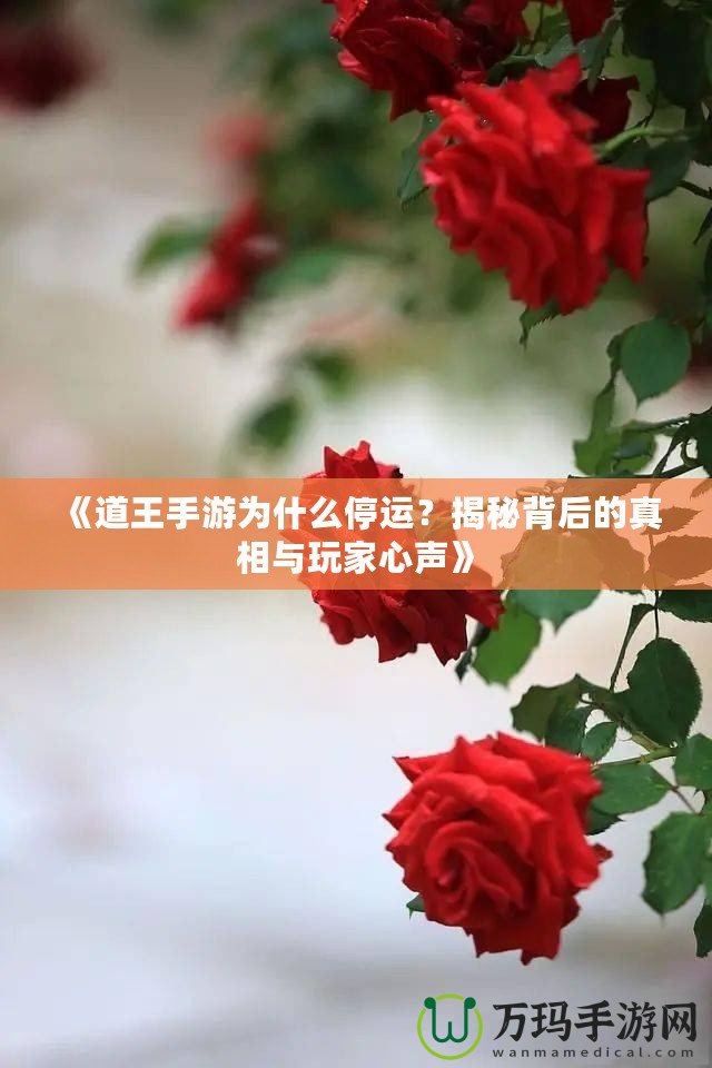 《道王手游為什么停運(yùn)？揭秘背后的真相與玩家心聲》