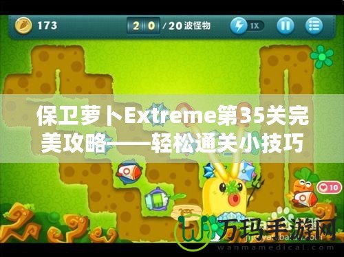 保衛(wèi)蘿卜Extreme第35關完美攻略——輕松通關小技巧