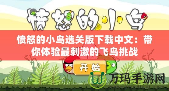 憤怒的小鳥選關(guān)版下載中文：帶你體驗最刺激的飛鳥挑戰(zhàn)