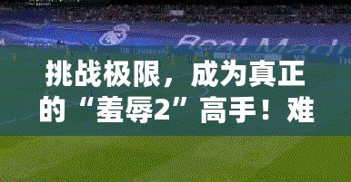 挑戰(zhàn)極限，成為真正的“羞辱2”高手！難度選擇解析與游戲技巧指南