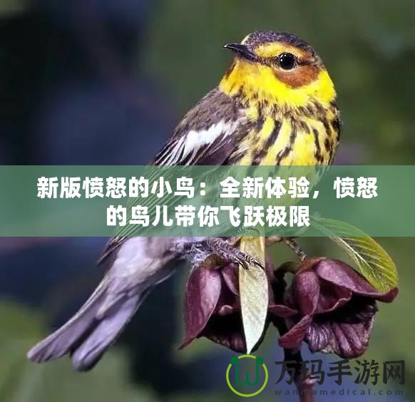 新版憤怒的小鳥：全新體驗，憤怒的鳥兒帶你飛躍極限