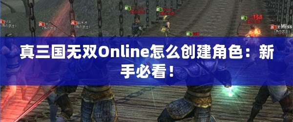 真三國無雙Online怎么創(chuàng)建角色：新手必看！