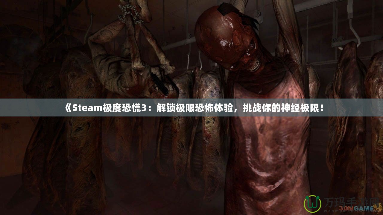 《Steam極度恐慌3：解鎖極限恐怖體驗(yàn)，挑戰(zhàn)你的神經(jīng)極限！