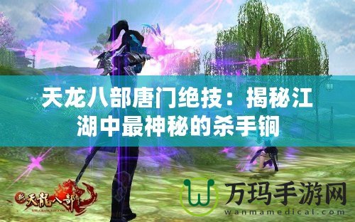 天龍八部唐門絕技：揭秘江湖中最神秘的殺手锏