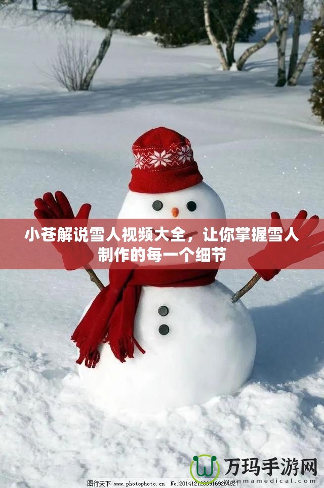 小蒼解說雪人視頻大全，讓你掌握雪人制作的每一個細節(jié)