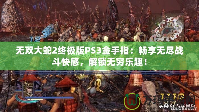 無(wú)雙大蛇2終極版PS3金手指：暢享無(wú)盡戰(zhàn)斗快感，解鎖無(wú)窮樂(lè)趣！