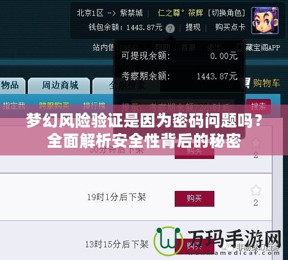 夢幻風(fēng)險驗(yàn)證是因?yàn)槊艽a問題嗎？全面解析安全性背后的秘密