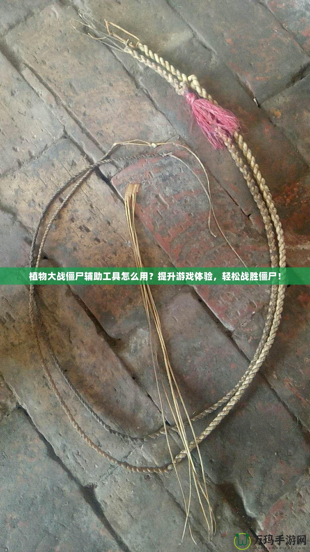 植物大戰(zhàn)僵尸輔助工具怎么用？提升游戲體驗(yàn)，輕松戰(zhàn)勝僵尸！