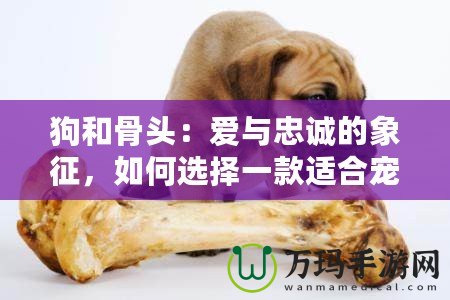 狗和骨頭：愛與忠誠的象征，如何選擇一款適合寵物的骨頭？