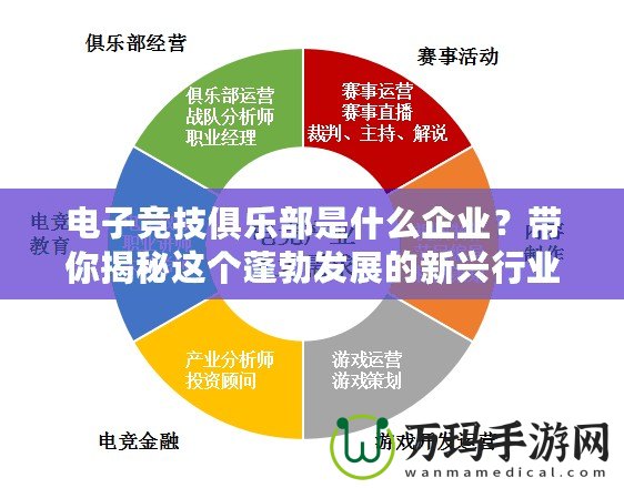 電子競技俱樂部是什么企業(yè)？帶你揭秘這個蓬勃發(fā)展的新興行業(yè)！