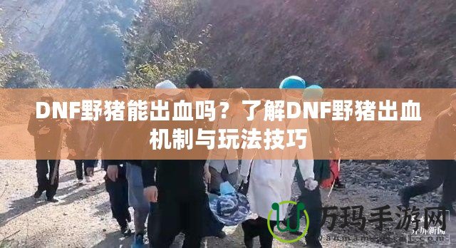 DNF野豬能出血嗎？了解DNF野豬出血機(jī)制與玩法技巧