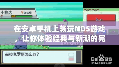 在安卓手機上暢玩NDS游戲，讓你體驗經(jīng)典與新潮的完美結(jié)合