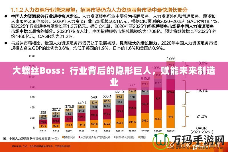 大螺絲Boss：行業(yè)背后的隱形巨人，賦能未來(lái)制造業(yè)