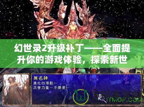 幻世錄2升級補丁——全面提升你的游戲體驗，探索新世界