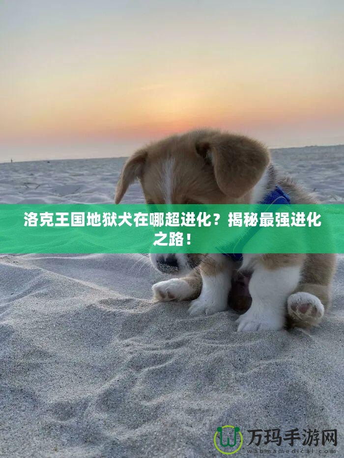 洛克王國地獄犬在哪超進(jìn)化？揭秘最強(qiáng)進(jìn)化之路！