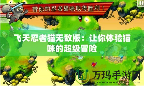 飛天忍者貓無敵版：讓你體驗(yàn)貓咪的超級冒險(xiǎn)