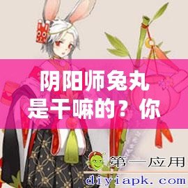 陰陽師兔丸是干嘛的？你還不了解這個神秘式神嗎？