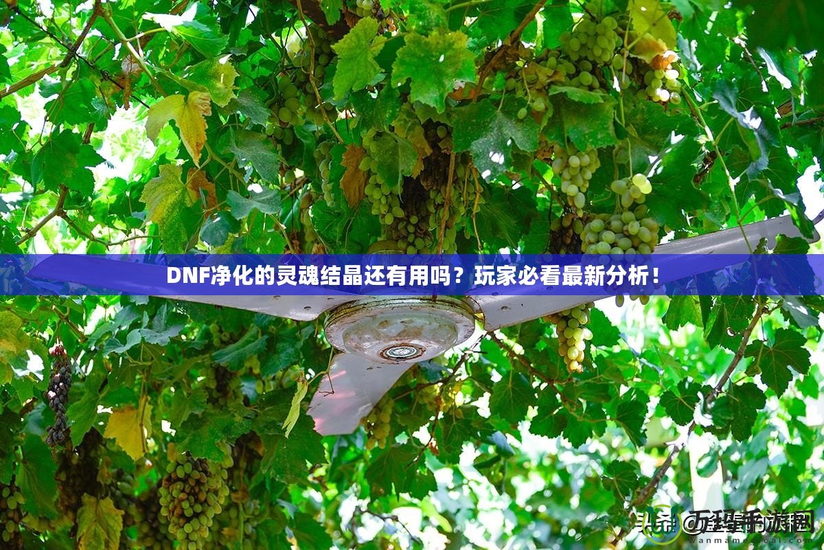 DNF凈化的靈魂結(jié)晶還有用嗎？玩家必看最新分析！