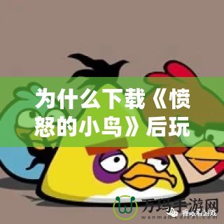 為什么下載《憤怒的小鳥(niǎo)》后玩不了？問(wèn)題分析與解決方法