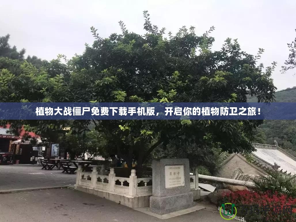 植物大戰(zhàn)僵尸免費(fèi)下載手機(jī)版，開啟你的植物防衛(wèi)之旅！