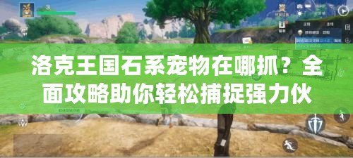 洛克王國(guó)石系寵物在哪抓？全面攻略助你輕松捕捉強(qiáng)力伙伴