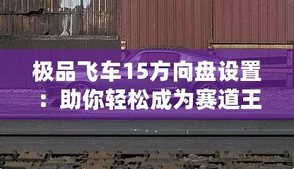 極品飛車15方向盤設置：助你輕松成為賽道王者的必備技巧