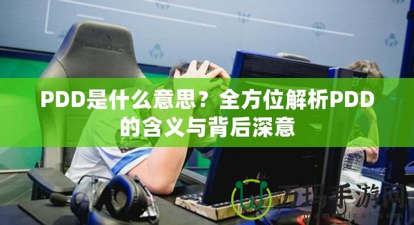 PDD是什么意思？全方位解析PDD的含義與背后深意