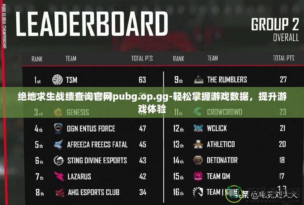 絕地求生戰(zhàn)績查詢官網(wǎng)pubg.op.gg-輕松掌握游戲數(shù)據(jù)，提升游戲體驗