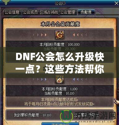 DNF公會(huì)怎么升級(jí)快一點(diǎn)？這些方法幫你事半功倍！