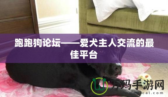 跑跑狗論壇——愛犬主人交流的最佳平臺