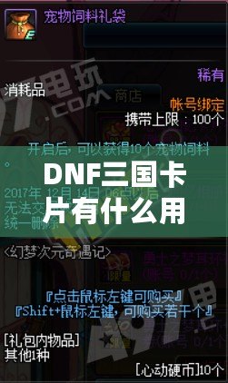 DNF三國卡片有什么用？探索其強大魅力與游戲內(nèi)外的價值