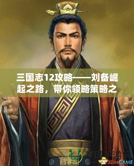 三國(guó)志12攻略——?jiǎng)溽绕鹬罚瑤泐I(lǐng)略策略之美！