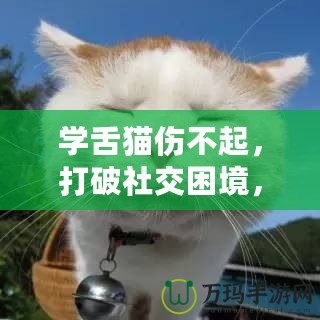 學(xué)舌貓傷不起，打破社交困境，找回自信與快樂(lè)！