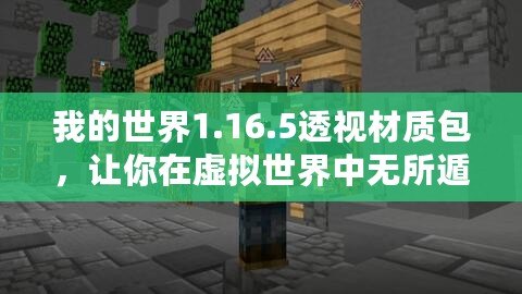 我的世界1.16.5透視材質(zhì)包，讓你在虛擬世界中無所遁形