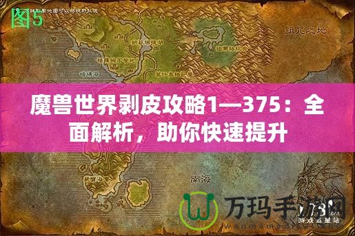 魔獸世界剝皮攻略1—375：全面解析，助你快速提升