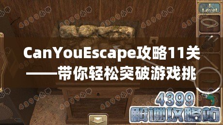 CanYouEscape攻略11關(guān)——帶你輕松突破游戲挑戰(zhàn)！