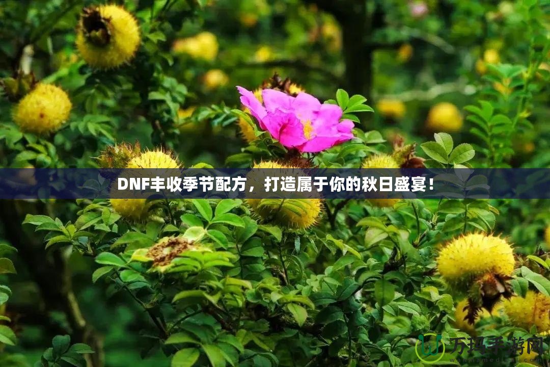 DNF豐收季節(jié)配方，打造屬于你的秋日盛宴！