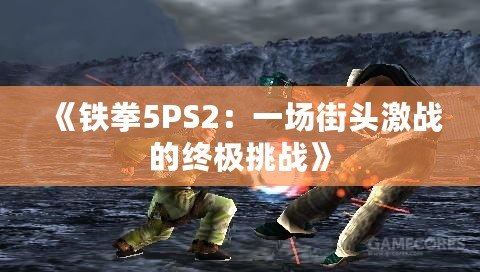 《鐵拳5PS2：一場街頭激戰(zhàn)的終極挑戰(zhàn)》