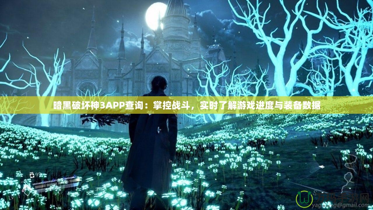 暗黑破壞神3APP查詢：掌控戰(zhàn)斗，實(shí)時(shí)了解游戲進(jìn)度與裝備數(shù)據(jù)