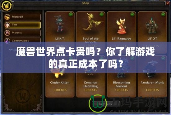 魔獸世界點卡貴嗎？你了解游戲的真正成本了嗎？