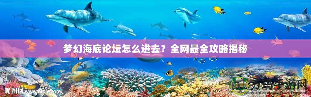 夢幻海底論壇怎么進(jìn)去？全網(wǎng)最全攻略揭秘