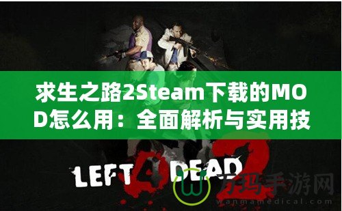 求生之路2Steam下載的MOD怎么用：全面解析與實(shí)用技巧