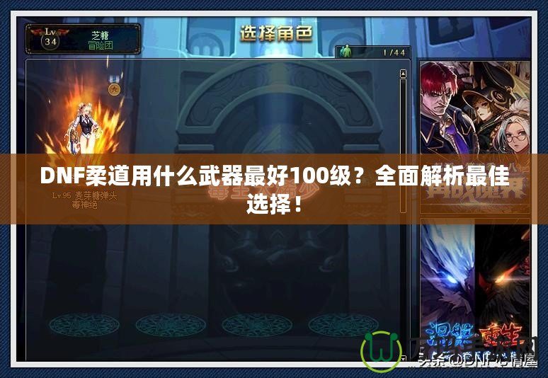 DNF柔道用什么武器最好100級？全面解析最佳選擇！