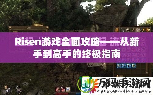 Risen游戲全面攻略——從新手到高手的終極指南