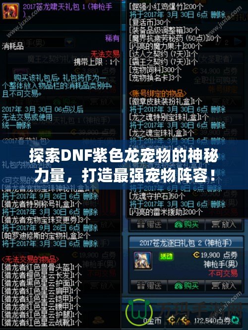 探索DNF紫色龍寵物的神秘力量，打造最強(qiáng)寵物陣容！