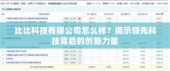 比比科技有限公司怎么樣？揭示領(lǐng)先科技背后的創(chuàng)新力量