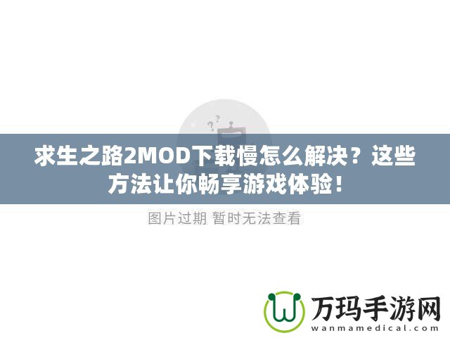 求生之路2MOD下載慢怎么解決？這些方法讓你暢享游戲體驗！