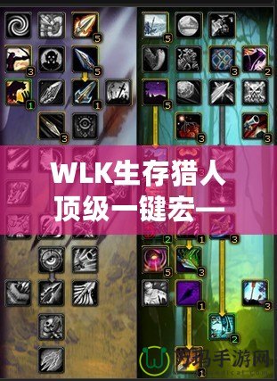 WLK生存獵人頂級(jí)一鍵宏——助你在魔獸世界中縱橫馳騁！