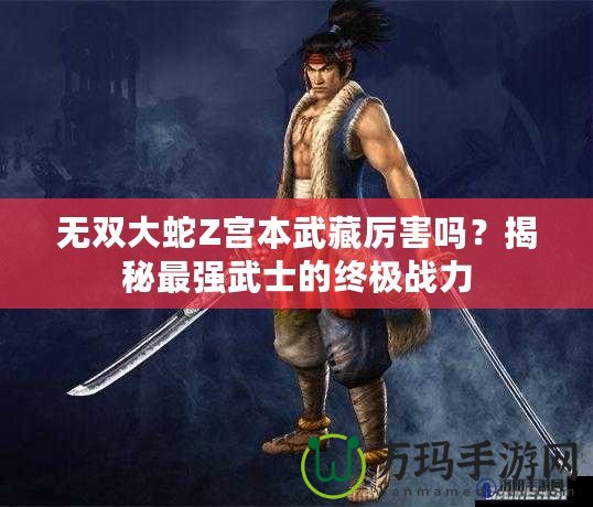 無雙大蛇Z宮本武藏厲害嗎？揭秘最強武士的終極戰(zhàn)力