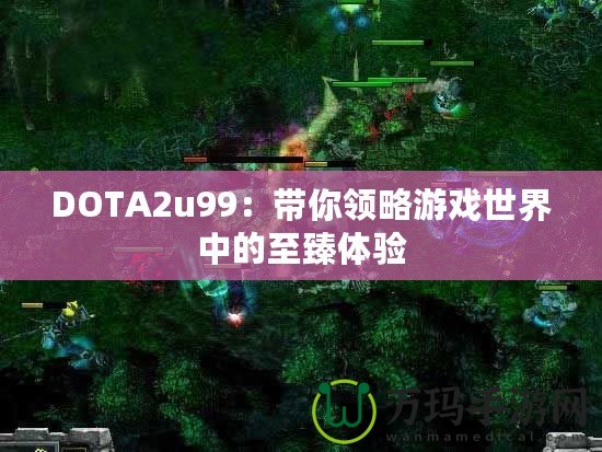 DOTA2u99：帶你領(lǐng)略游戲世界中的至臻體驗(yàn)